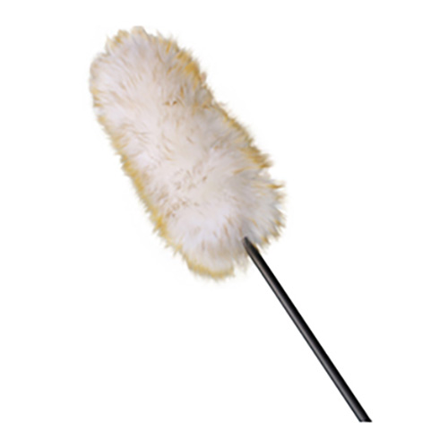 Duster with Extension Handle